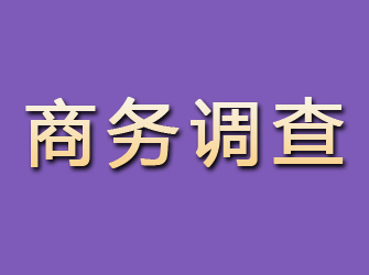 梅里斯商务调查